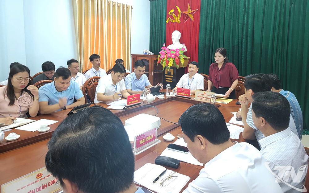Đồng chí Phó Chủ tịch UBND tỉnh Nguyễn Thị Loan phát biểu tại buổi kiểm tra.