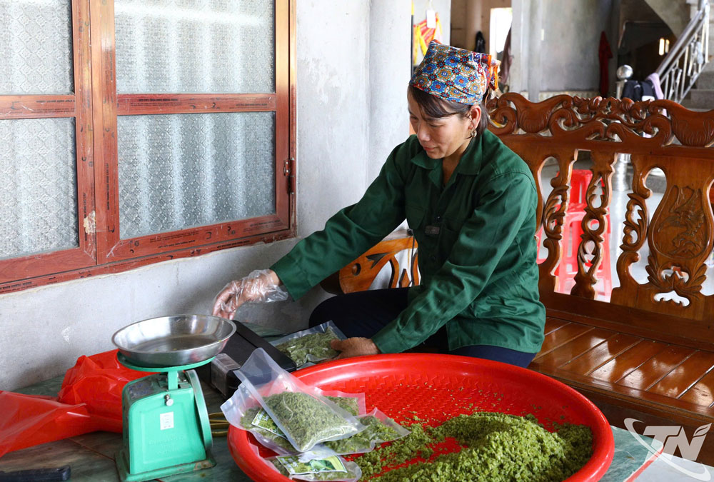 Cốm thành phẩm được đóng gói, hút chân không trước khi đưa đến tay khách hàng.