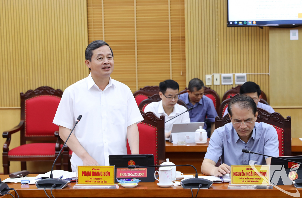 Đồng chí Phạm Hoàng Sơn, Phó Bí thư Tỉnh ủy, Chủ tịch UBND tỉnh, phát biểu tại Hội nghị.