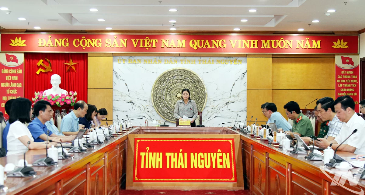 Đồng chí phó Chủ tịch UBND tỉnh chủ trì.