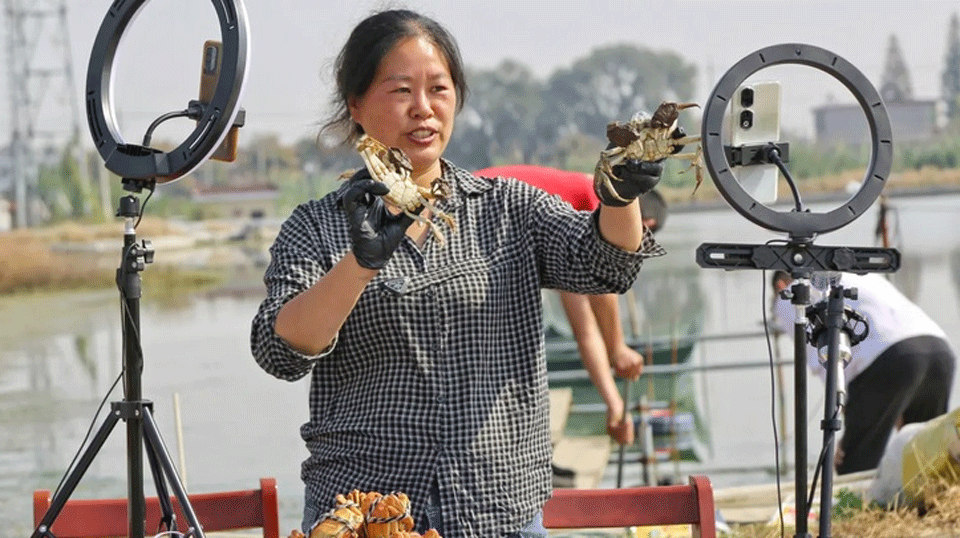 Làn sóng "nông dân mới" và sự thay đổi trong cách tiêu thụ nông sản ở Trung Quốc