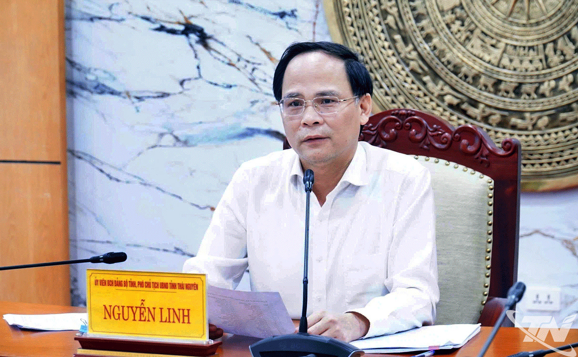 Đồng chí Phó Chủ tịch UBND tỉnh Nguyễn Linh phát biểu tại Hội nghị.