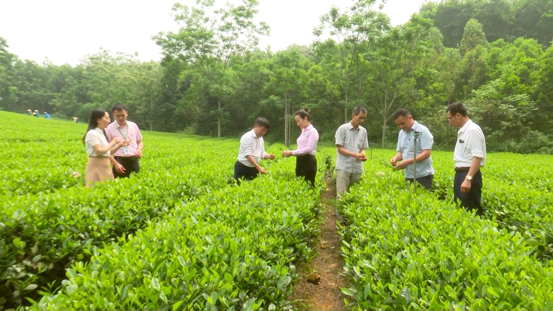 Thái Nguyên: Tổng dư nợ tín dụng chính sách qua ủy thác đạt hơn 8,8 nghìn tỷ đồng
