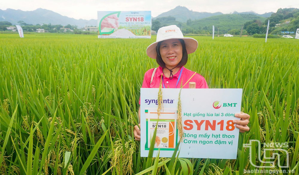 Phát huy thế mạnh nông, lâm nghiệp của tỉnh mới