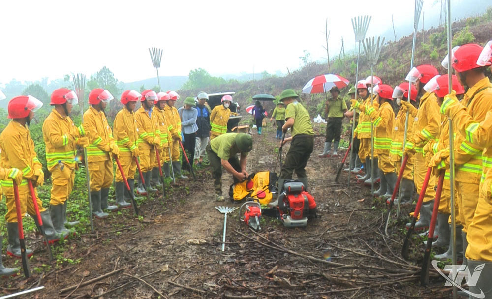 Chủ động phòng, chữa cháy rừng thời điểm nắng nóng