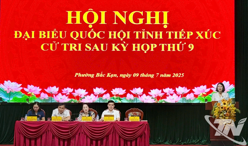 Các đại biểu Quốc hội tại Hội nghị tiếp xúc cử tri.