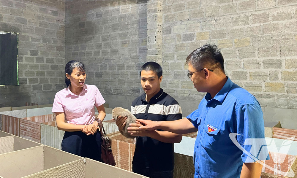 Cán bộ Phòng Giao dịch NHCSXH Chợ Mới kiểm tra mô hình phát triển kinh tế tại xã Yên Bình từ nguồn vốn vay ưu đãi.
