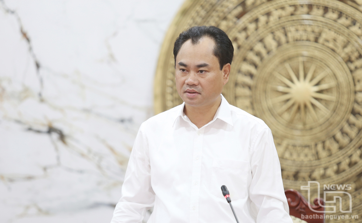 Tỉnh ủy Thái Nguyên: Cho ý kiến vào dự thảo quy chế làm việc của Ban Chấp hành và Ủy Ban Kiểm tra Tỉnh ủy