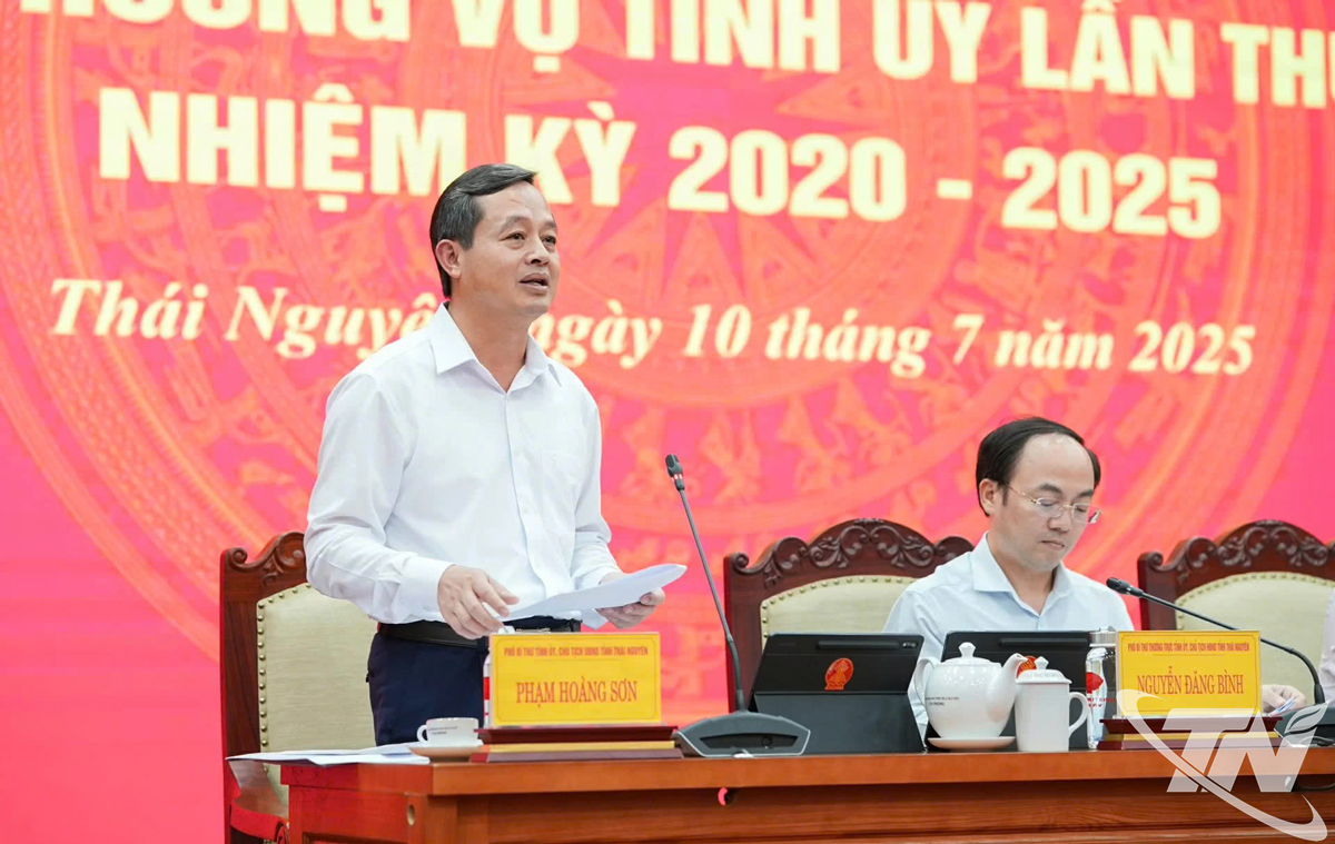 Đồng chí Phạm Hoàng Sơn, Phó Bí thư Tỉnh ủy, Chủ tịch UBND tỉnh, phát biểu tại Hội nghị.