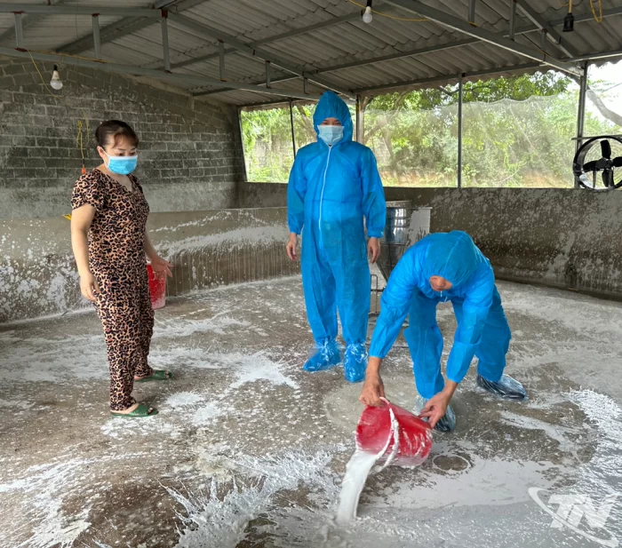 Khoanh vùng, dập dịch, bảo vệ đàn vật nuôi