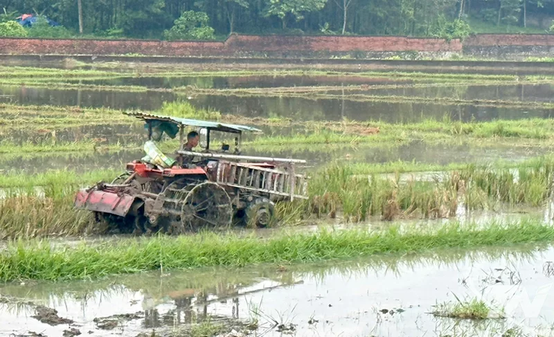 Nông dân Thái Nguyên đẩy nhanh tiến độ làm đất để phục vụ sản xuất vụ mùa.