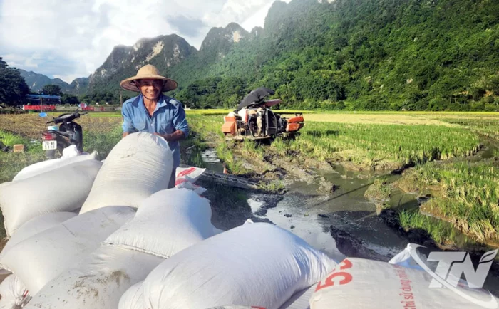 Vui mùa bội thu