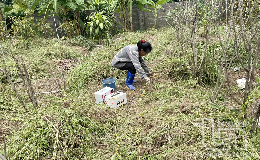 Ngăn chặn, xử lý hành vi dùng kích điện bắt giun đất