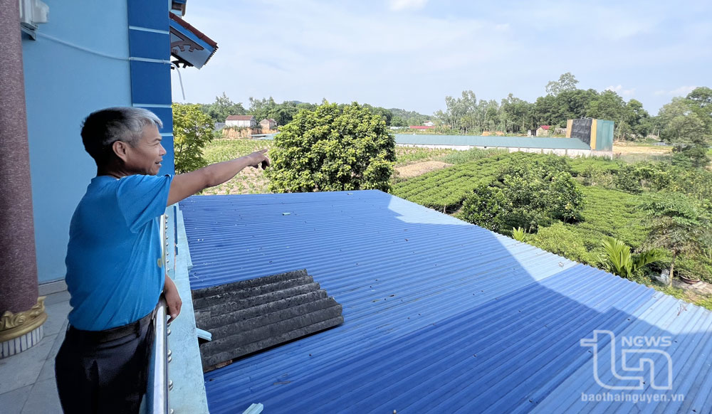 Điềm Thụy: Nuôi vịt trong khu dân cư gây ô nhiễm môi trường