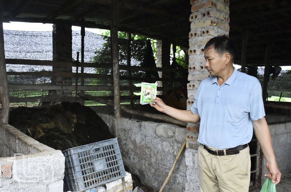 Đẩy mạnh ứng dụng chế phẩm sinh học