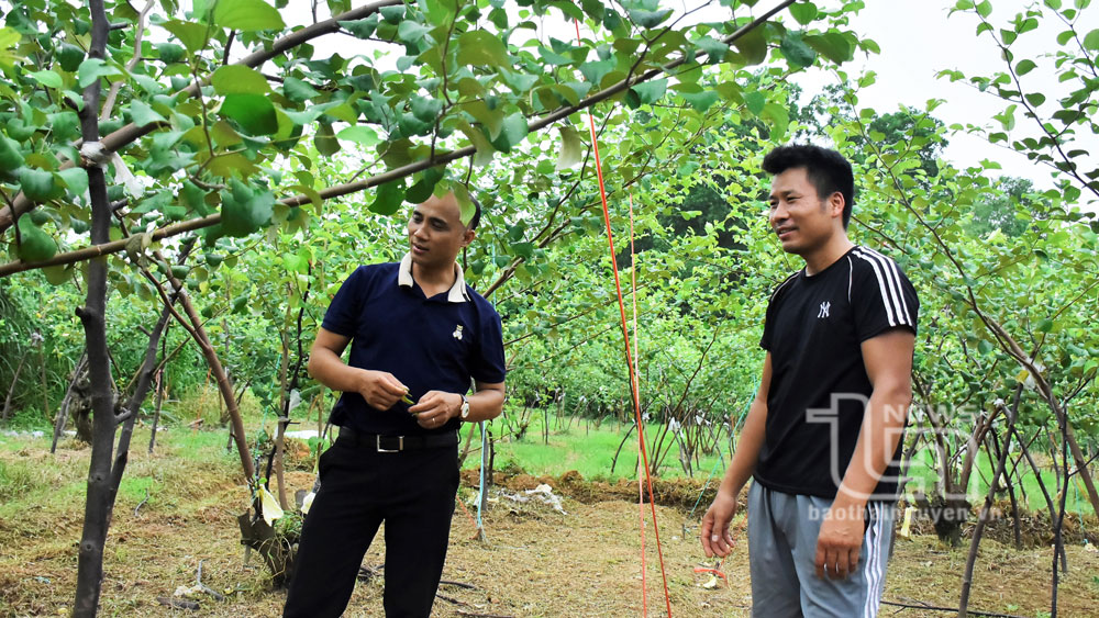 Đất không phụ công người