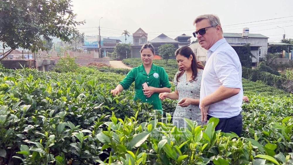 Khai thác lợi thế kinh tế tập thể để phát triển du lịch