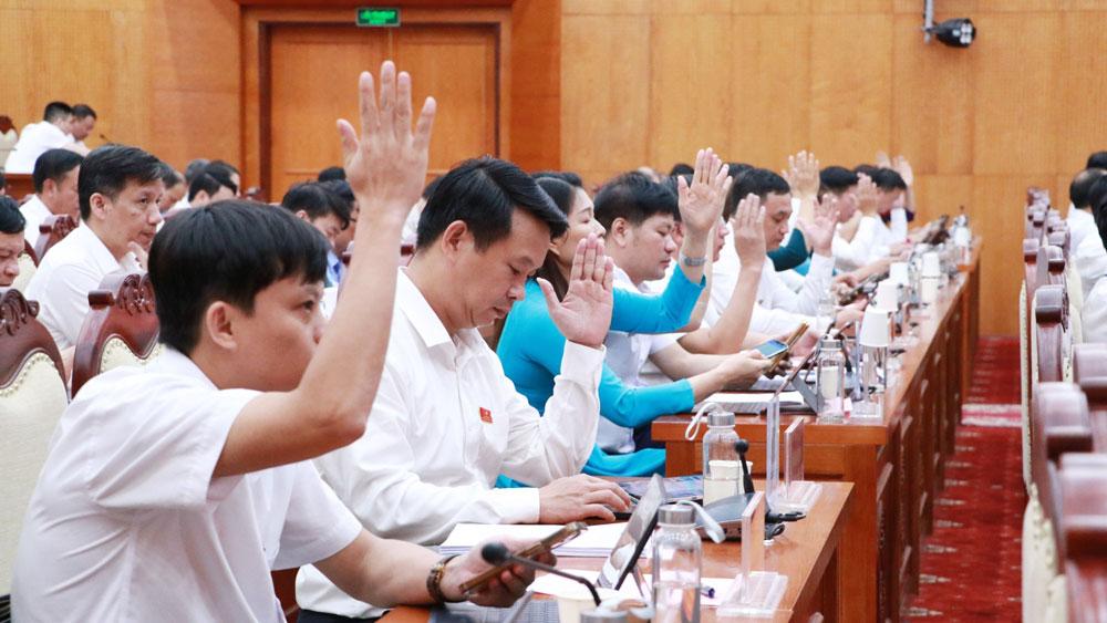 Đại biểu HĐND tỉnh biểu quyết thông qua các nghị quyết.