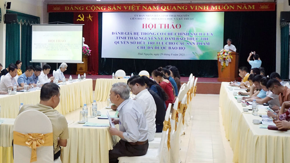Đảm bảo quyền sở hữu trí tuệ cho sản phẩm chè 