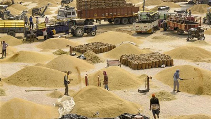 Hiện tượng El Nino đe dọa làm gián đoạn nguồn cung ngũ cốc ở châu Á