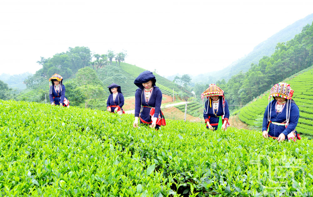 Tạo đồng thuận ở vùng đồng bào dân tộc thiểu số