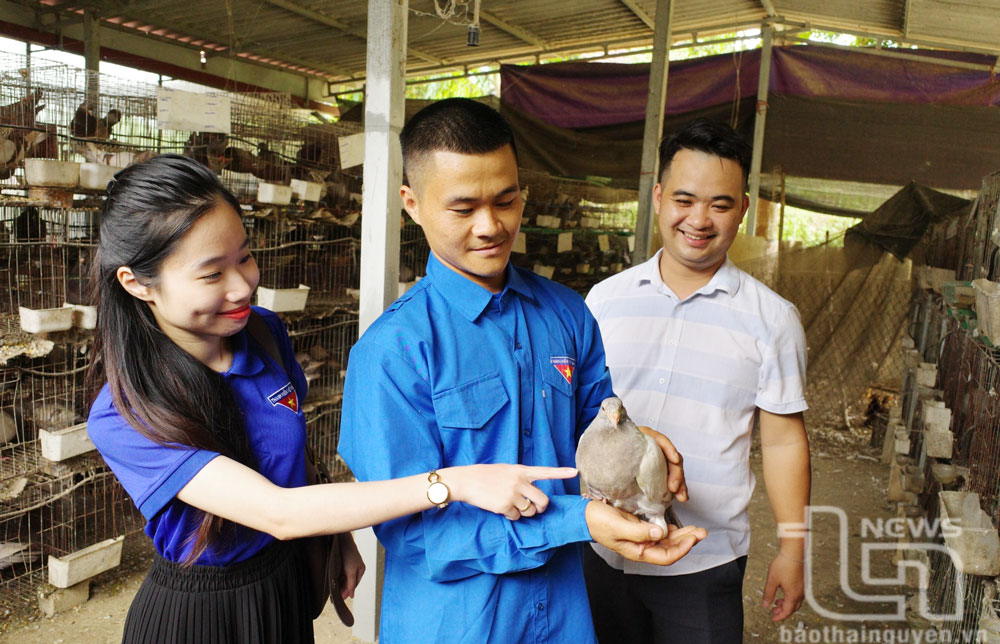 Thanh niên Tràng Xá nỗ lực vươn lên 