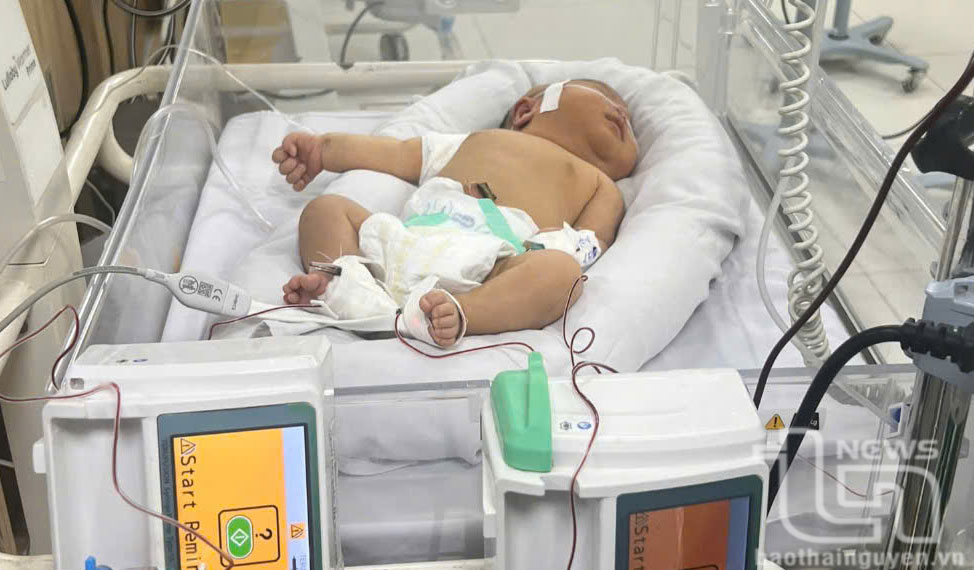 Bị vàng da bệnh lý, bệnh nhân 6 ngày tuổi được cứu chữa kịp thời