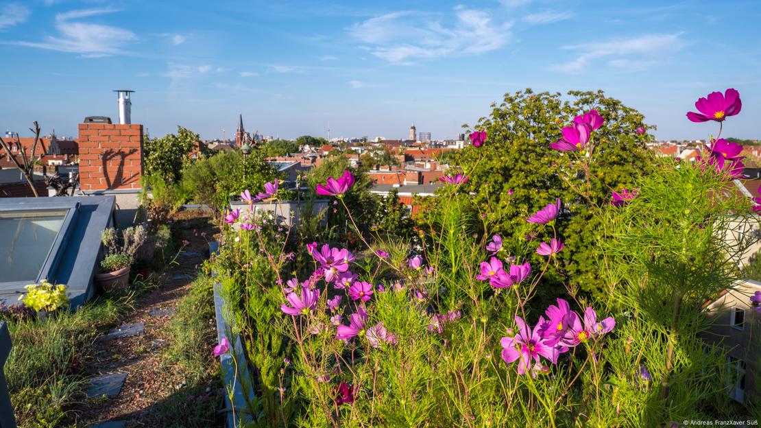 Cách xử lý nước mưa của Berlin trong bối cảnh biến đổi khí hậu