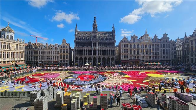 Thảm hoa Brussels 2024 - kiệt tác sống động giữa lòng châu Âu