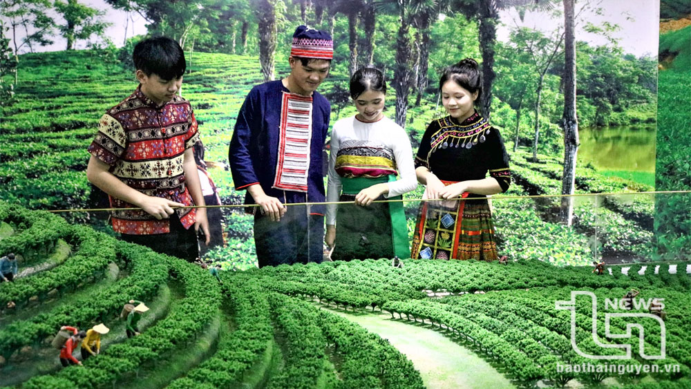Học sinh Trường Phổ thông Vùng cao Việt Bắc tham quan mô hình vùng chè Thái Nguyên tại Không gian văn hóa trà Tân Cương (TP. Thái Nguyên).