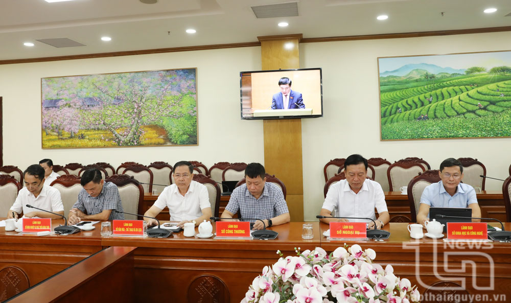 Các đại biểu dự tại điểm cầu Thái Nguyên.