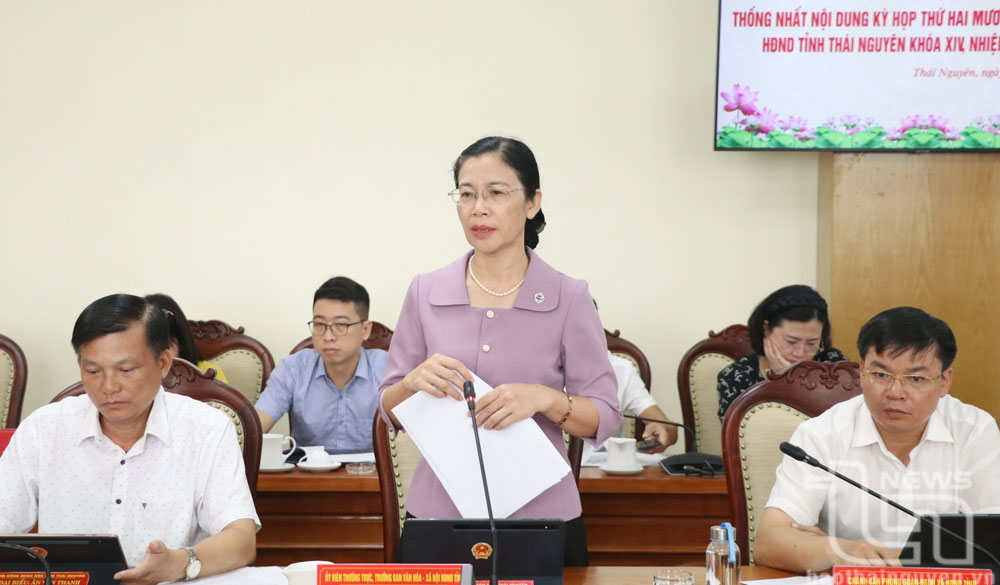 Đồng chí Nguyễn Thị Thúy Nga, Trưởng Ban Văn hóa - Xã hội HĐND tỉnh, phát biểu.