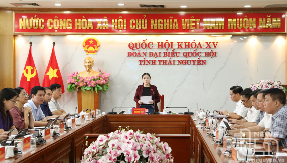 Đại biểu Đoàn Thị Hảo