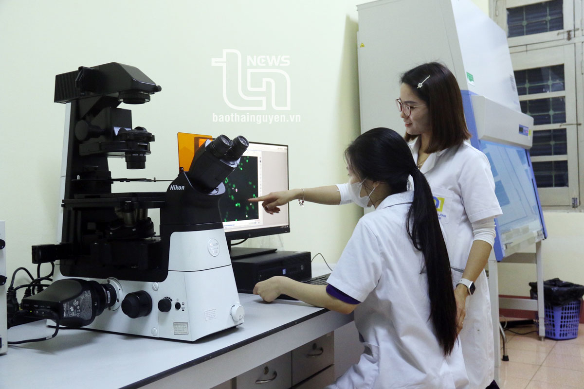 Sinh viên được thực hành tại các phòng thí nghiệm hiện đại của Đại học Thái Nguyên.