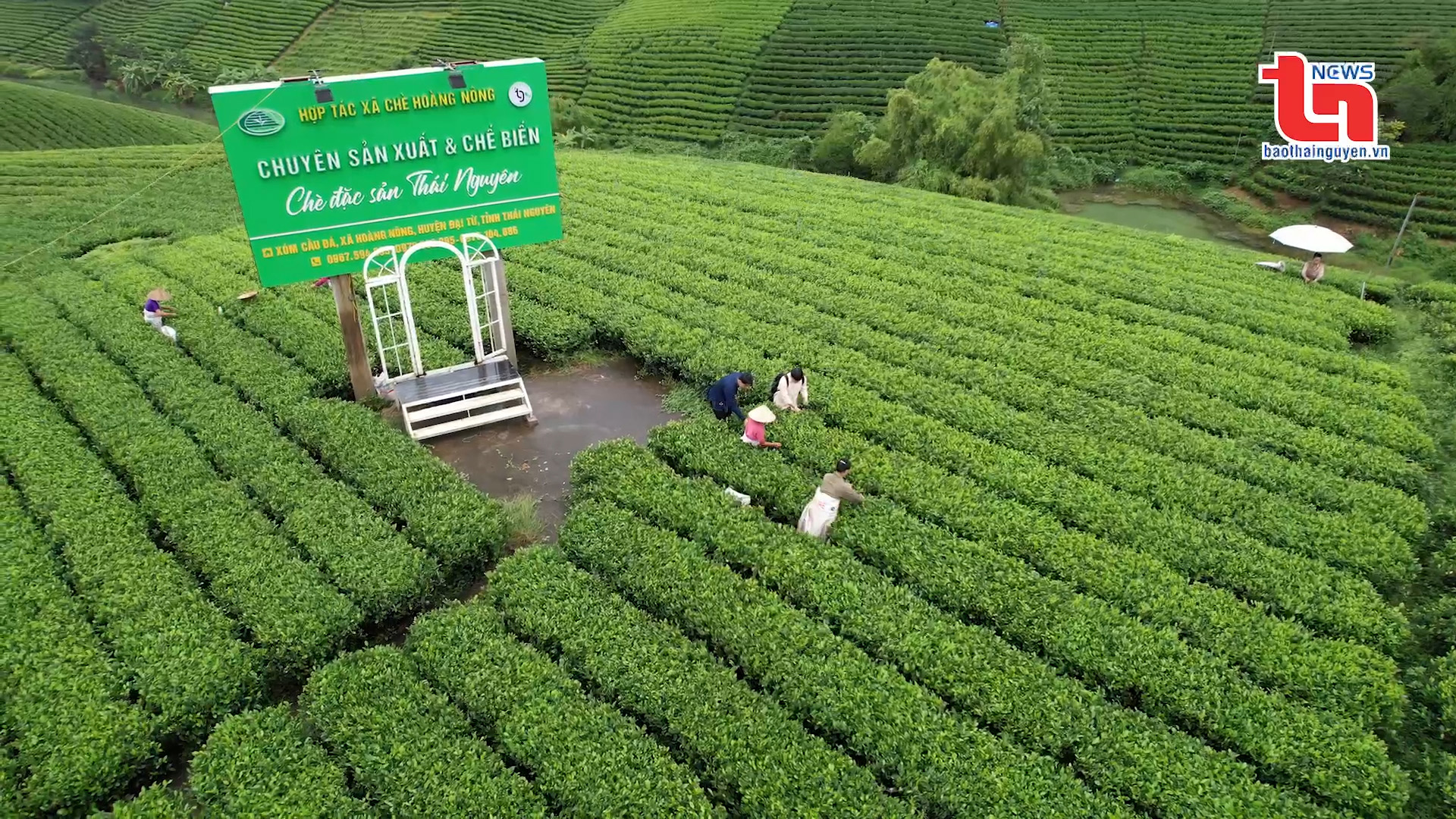 Một ngày ở Hoàng Nông