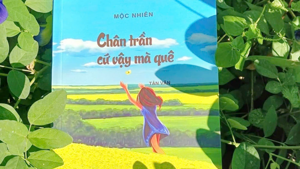 Những giai điệu ngân vang trong "Chân trần cứ vậy mà quê"