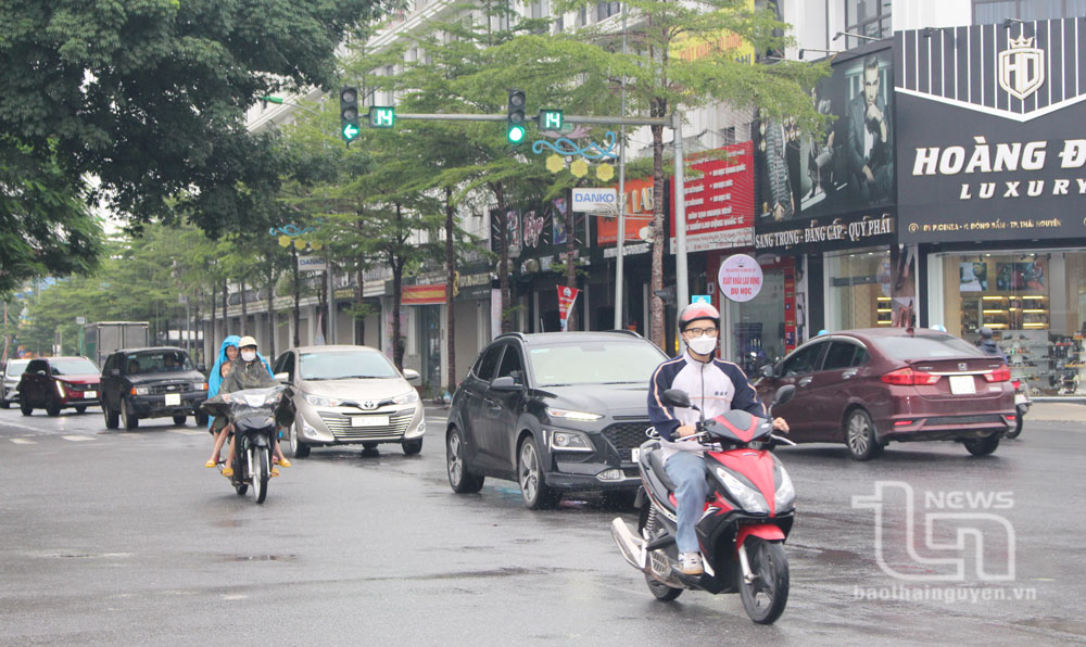 Trên các tuyến đường đều có nhiều phương tiện giao thông là ô tô.
