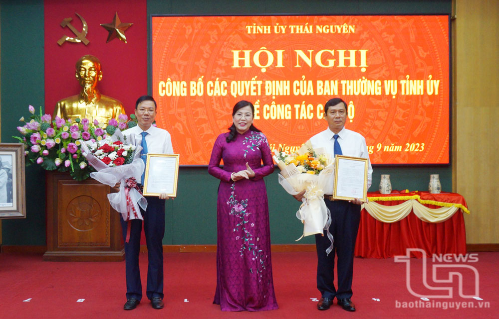 Công bố các quyết định của Ban Thường vụ Tỉnh ủy về công tác cán bộ