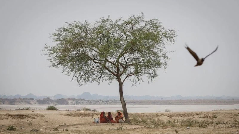 Mỹ dự báo: Hơn 95% khả năng hiện tượng El Nino tiếp tục kéo dài từ tháng 1-3/2024