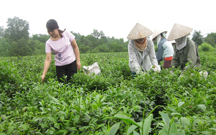 La Giai - xóm nhỏ thân thương