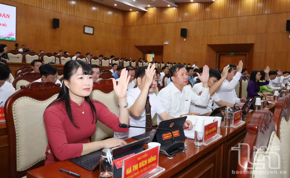 Các đại biểu biểu quyết thông qua nội dung, chương trình Kỳ họp.