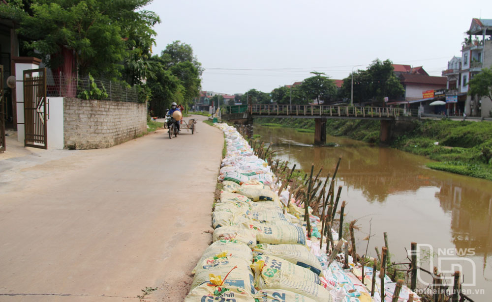 Người dân Phú Bình mong sớm khắc phục sạt lở bờ kênh Đào