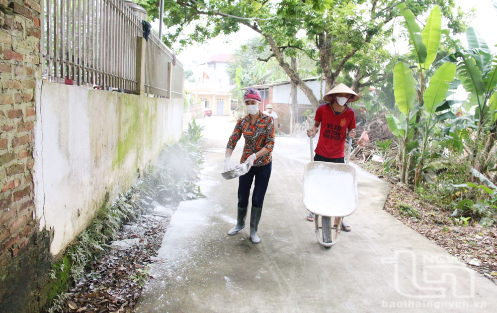 Người dân xóm Diệm Dương, xã Nga My, rắc vôi bột tại tuyến đường xóm. 