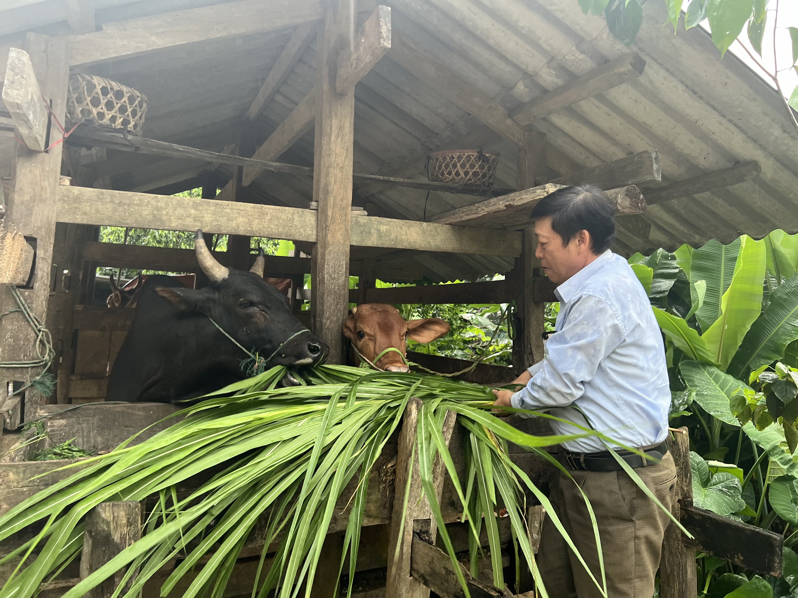 Phát huy hiệu quả công tác và các chính sách dân tộc