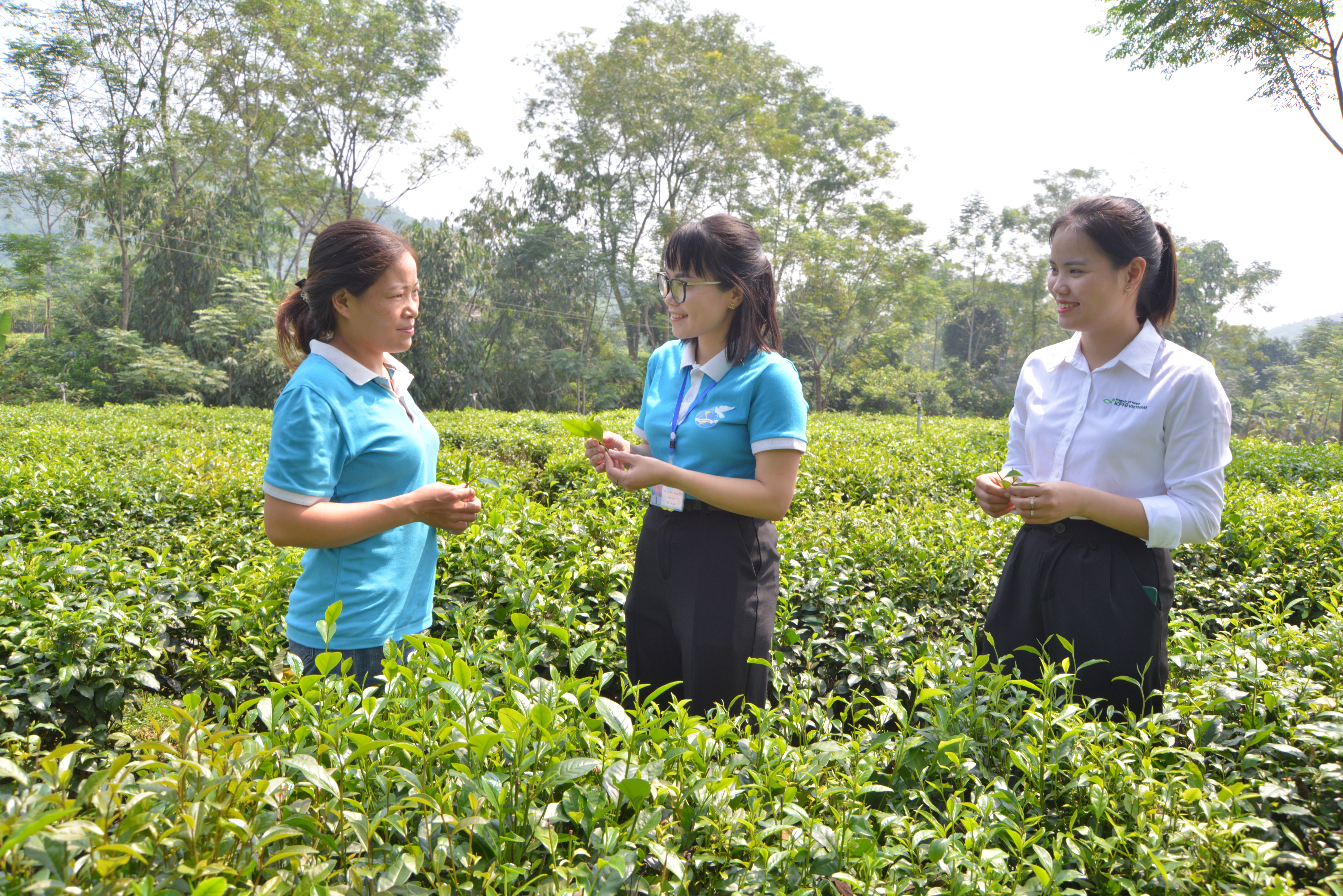 Xã miền núi Phú Đô tích cực giảm nghèo