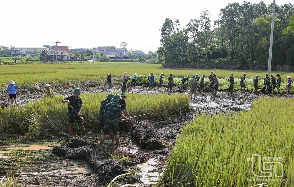 Cán bộ, học viên Trường Quân sự Quân khu 1 giúp nhân dân xã Thượng Đình (Phú Bình) dọn dẹp, thu gom rác thải, vệ sinh đồng ruộng sau mưa lũ.