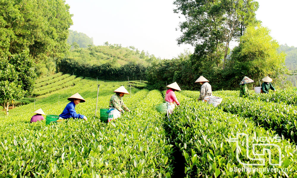 Hóa Trung bứt phá từ những lợi thế