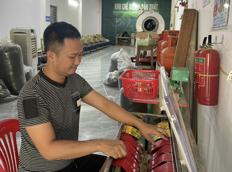 Khởi nghiệp tại quê hương