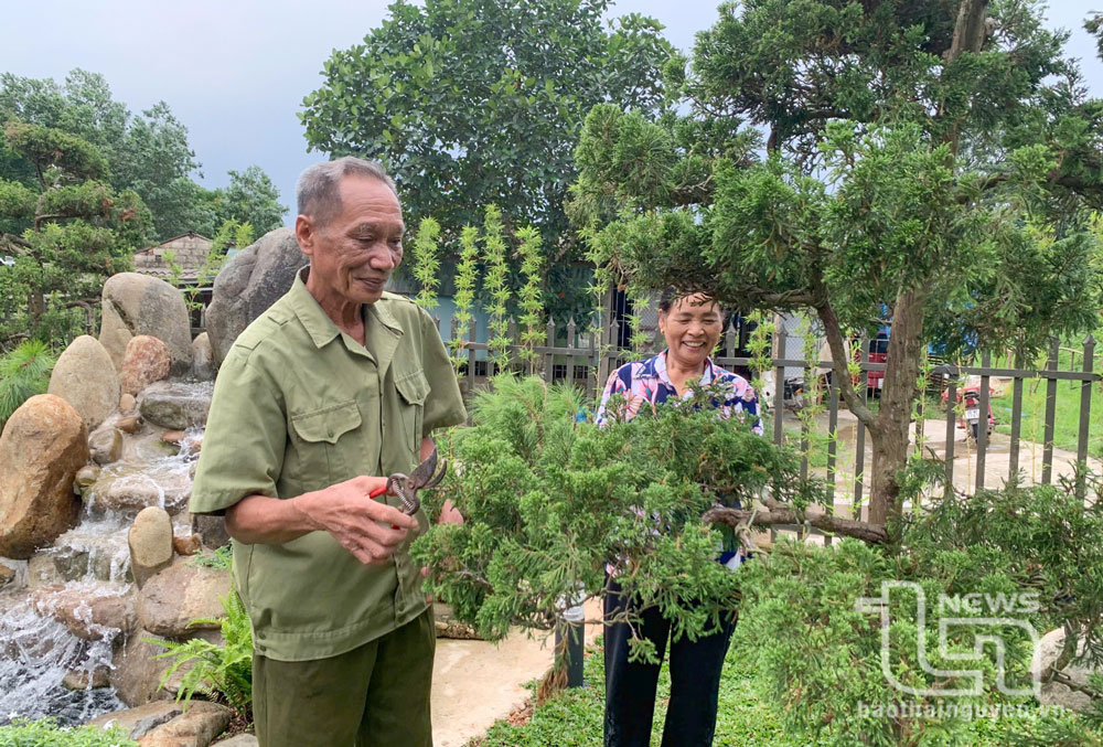 Nạn nhân chất độc da cam Lê Đình Việt (xóm Phúc Thuần, xã Tân Cương, TP. Thái Nguyên) cùng vợ chăm sóc vườn cây cảnh.
