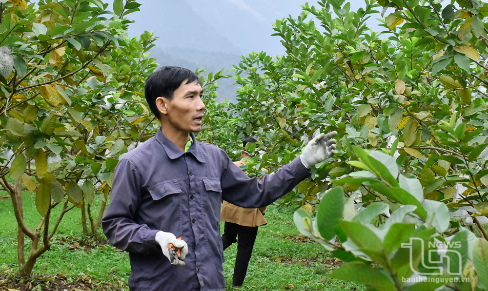 Khơi sức dân tham gia xây dựng nông thôn mới